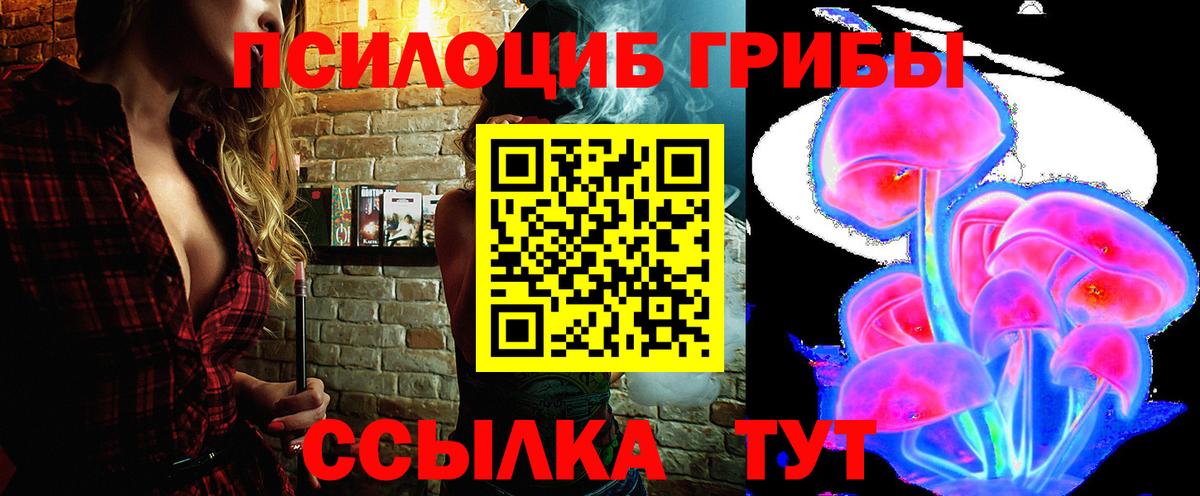 Галлюциногенные грибы Psilocybe  Вход с VPN  Белореченск 