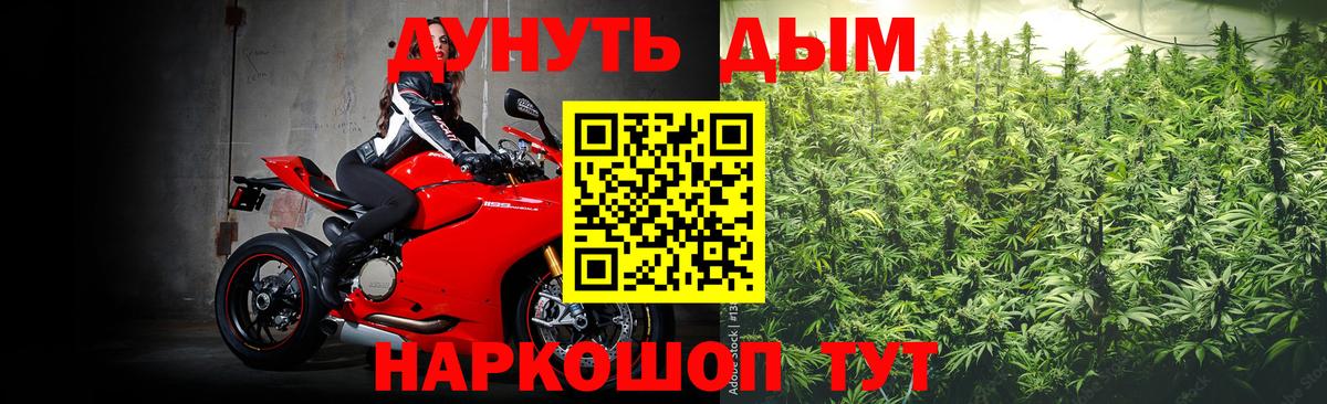 Бошки Шишки планчик Белореченск